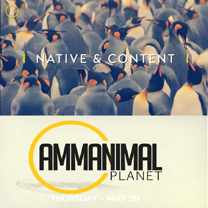 AMMA Native & content